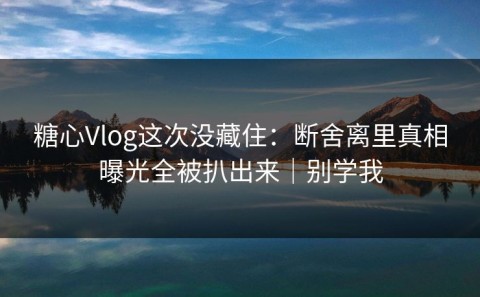 糖心Vlog这次没藏住：断舍离里真相曝光全被扒出来｜别学我