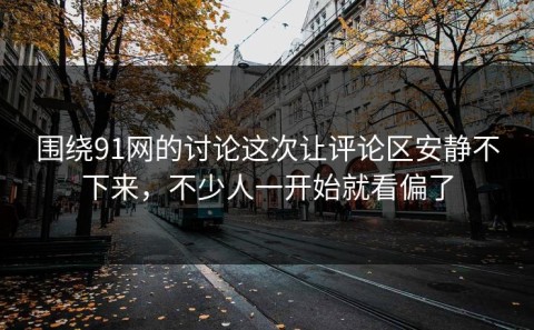围绕91网的讨论这次让评论区安静不下来，不少人一开始就看偏了