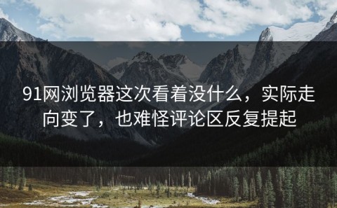 91网浏览器这次看着没什么，实际走向变了，也难怪评论区反复提起
