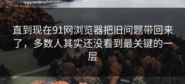 直到现在91网浏览器把旧问题带回来了，多数人其实还没看到最关键的一层
