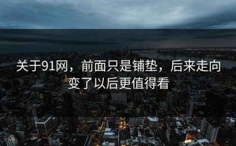 关于91网，前面只是铺垫，后来走向变了以后更值得看