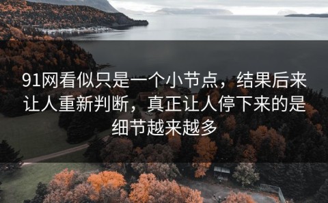91网看似只是一个小节点，结果后来让人重新判断，真正让人停下来的是细节越来越多