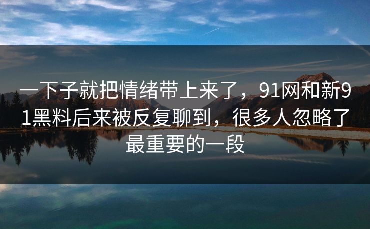 一下子就把情绪带上来了，91网和新91黑料后来被反复聊到，很多人忽略了最重要的一段