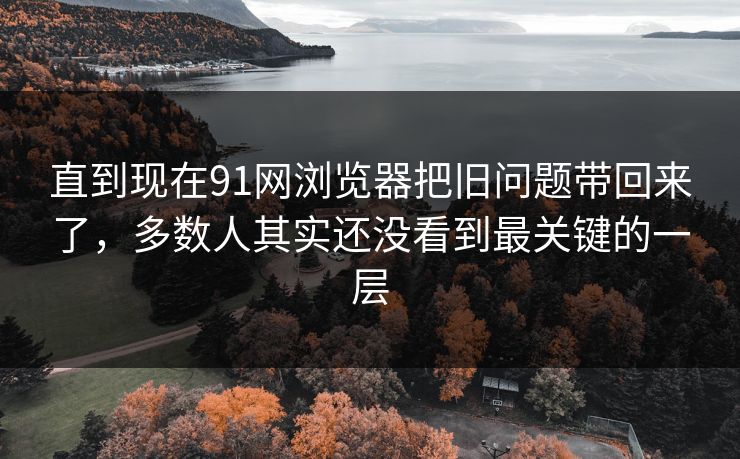 直到现在91网浏览器把旧问题带回来了，多数人其实还没看到最关键的一层