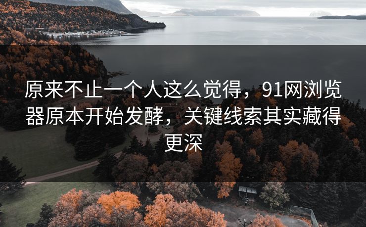 原来不止一个人这么觉得，91网浏览器原本开始发酵，关键线索其实藏得更深